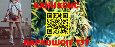 прущие крисы Партизанск