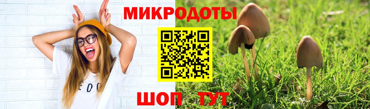Псилоцибиновые грибы мицелий Уварово